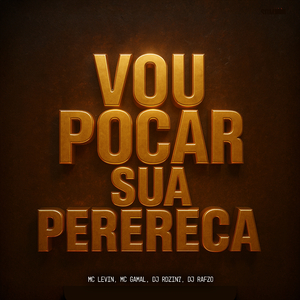 Vou Pocar Sua Perereca