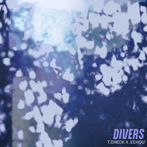 Divers