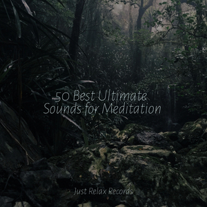 Journey of Self Discovery