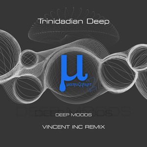 Deep moods (Vincent Inc remix)
