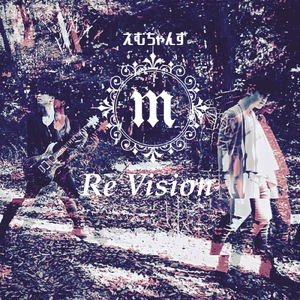 Re Vision