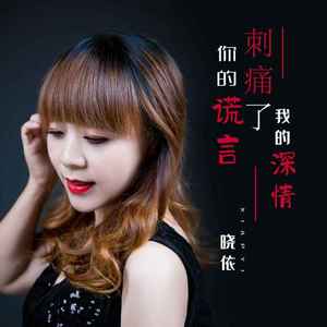 你的谎言刺痛了我的深情