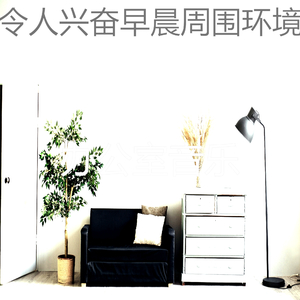一尘不染早晨印象数