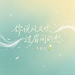 你说风又吹过了眉间的愁