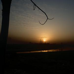 我有孤独和烈酒