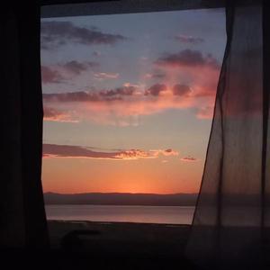 阿尔茨海默的爱