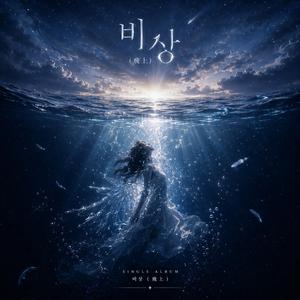 비상(飛上)