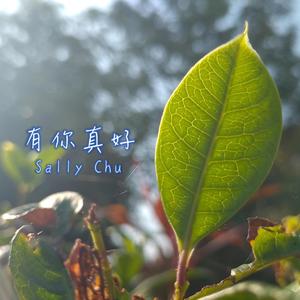 有你真好(純音樂)