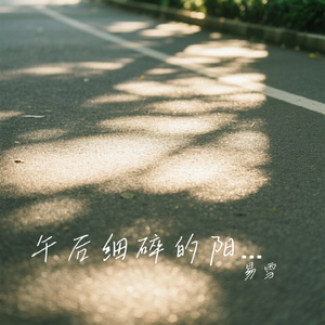 午后细碎的阳光