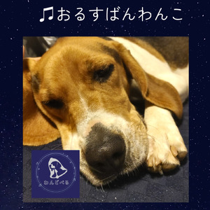 おるすばんわんこ