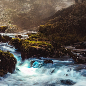 Слабое журчание ручейка