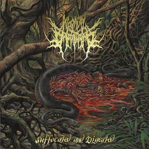 Suffocated and Digested