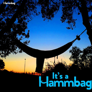 It's a Hammbag (feat. Jon Collins)