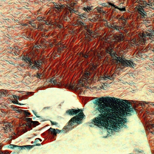 Lifeless Body of an Unhappy John