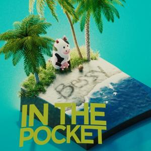 In the Pocket