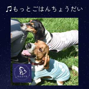 もっとごはんちょうだい