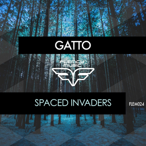 Spaced Invaders (Original Mix)