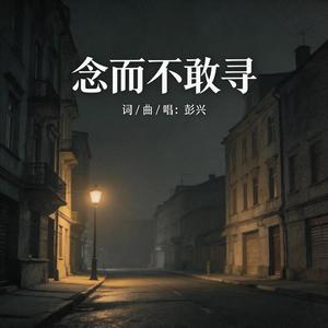 念而不敢寻