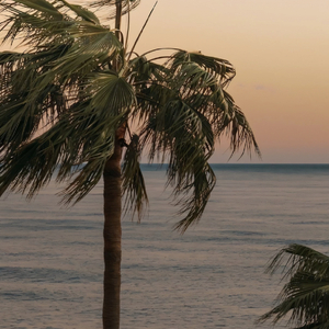 你像一艘忽远忽近的船