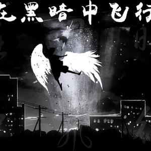 在黑暗中飞行（Flying in the Dark）