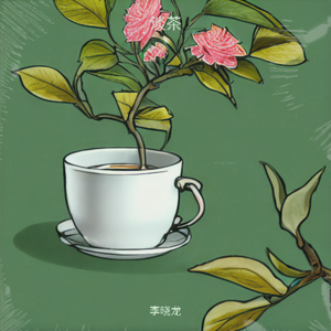 淡茶 伴奏