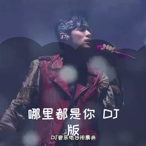 哪里都是你 DJ版