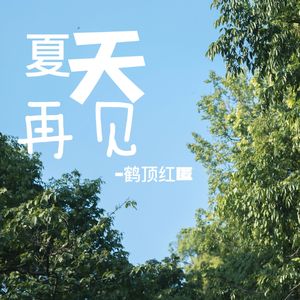 夏天 再见