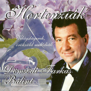 Hortenziák az ablakom alatt