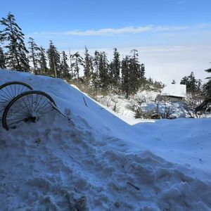 放过我也放过你