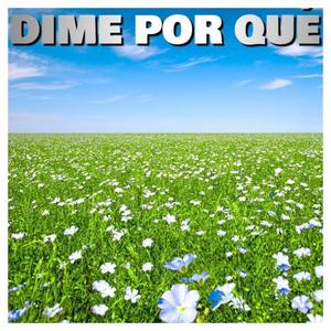 Dime ¿Por Qué?