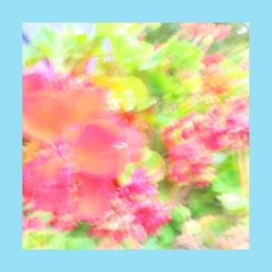 Don't you Waste Another Holy Day