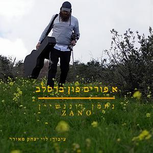 פורים בברסלב