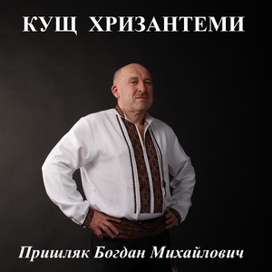 Кущ хризантеми
