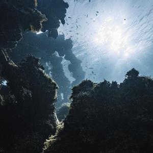 looking up at the surface from below