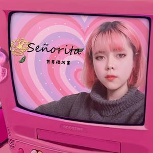 Señorita（琵琶版）