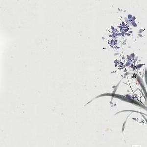 你不需要任何人的认可（语录版）