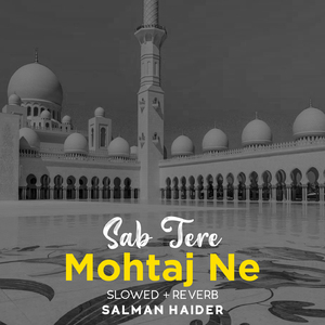 Sab Tere Mohtaj Ne Lofi