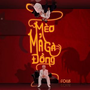 Mèo Mả Gà Đồng