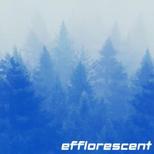 Efflorescent