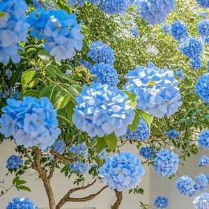 在等一个人