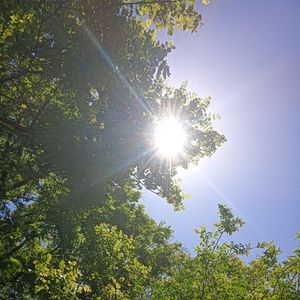 三寸日光（纯音乐）