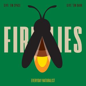 Fireflies