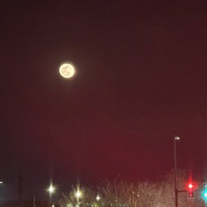 你是我心底的温柔