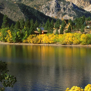 怎么你和谁处对象都没钱呢