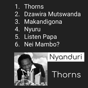 Nyuru (feat. Zee Guveya & Tracey Zengeni)