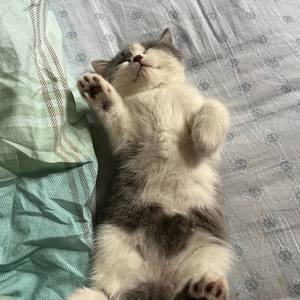 爱过的人