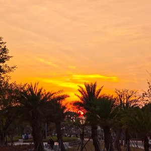 世界按下静音 只听见你心跳