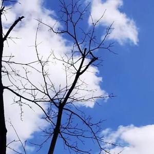 被窝里偷偷想念