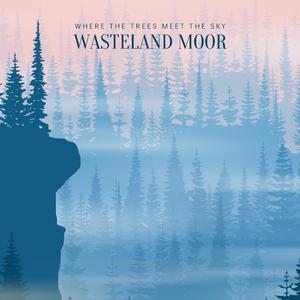 Where The Trees Meet The Sky