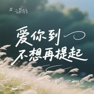 爱你到不想再提起
